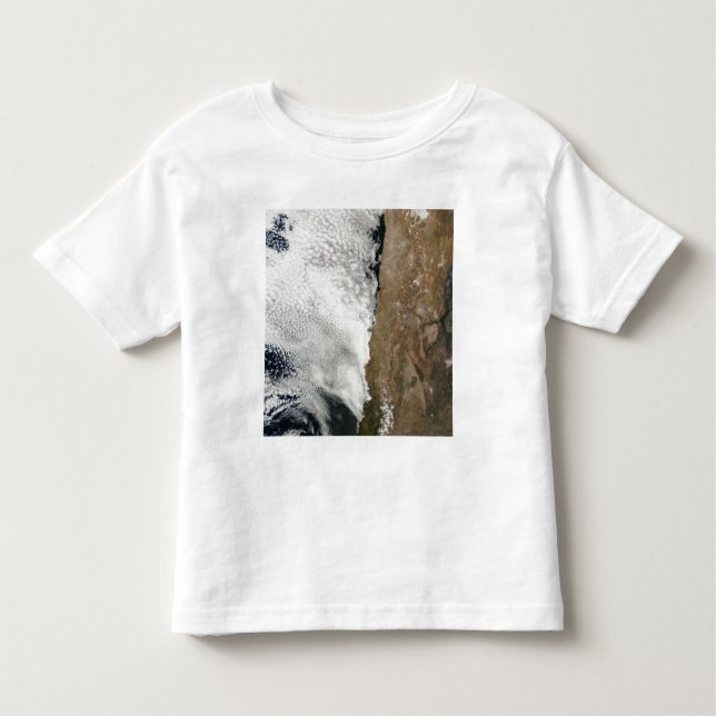 Satellite view of the Andes Mountains Toddler T-Shirt (Front)
