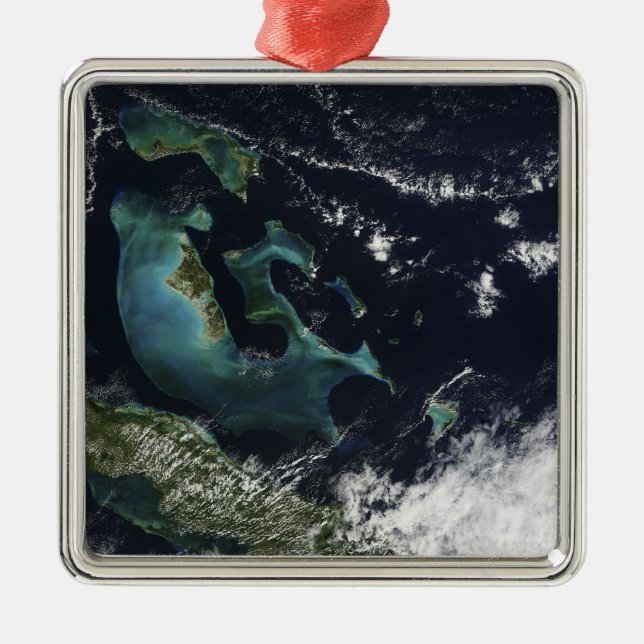 Satellite view of the Bahama Islands Metal Tree Decoration (Front)