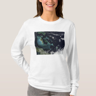 Satellite view of the Bahama Islands T-Shirt