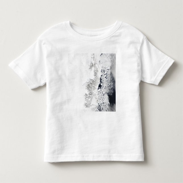 Satellite view of the eastern coast of Greenlan Toddler T-Shirt (Front)