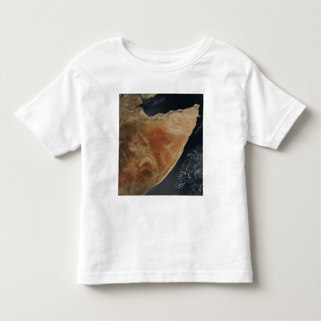 Satellite view of the Horn of Africa Toddler T-Shirt (Front)