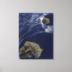 Satellite view of the Prince Edward Islands Canvas Print
