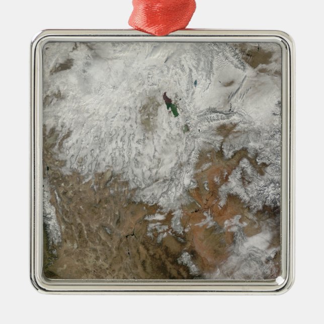 Satellite view of the western United States Metal Tree Decoration (Front)