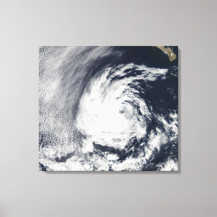 Satellite view of Tropical Depression Blas Canvas Print