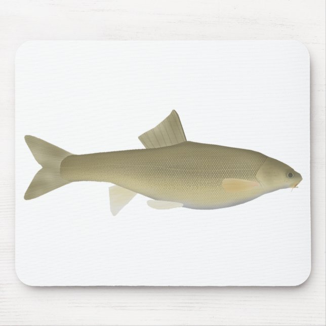 Sattar Snowtrout Mouse Pad (Front)