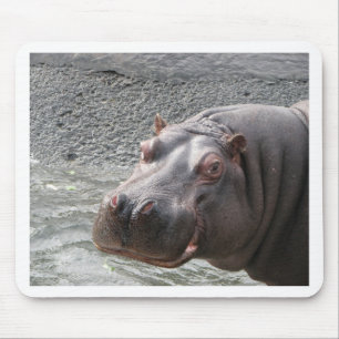 Saucy Hippo! Mouse Pad