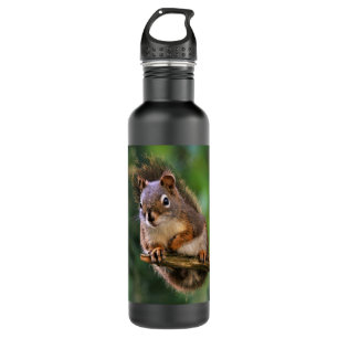 Saucy Red Squirrel in the Fir 710 Ml Water Bottle