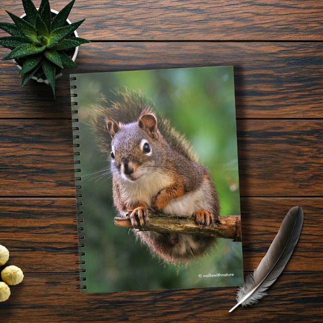Saucy Red Squirrel in the Fir Spiral Notebook (Saucy Red Squirrel Sitting in the Fir Journal Cover Photo)