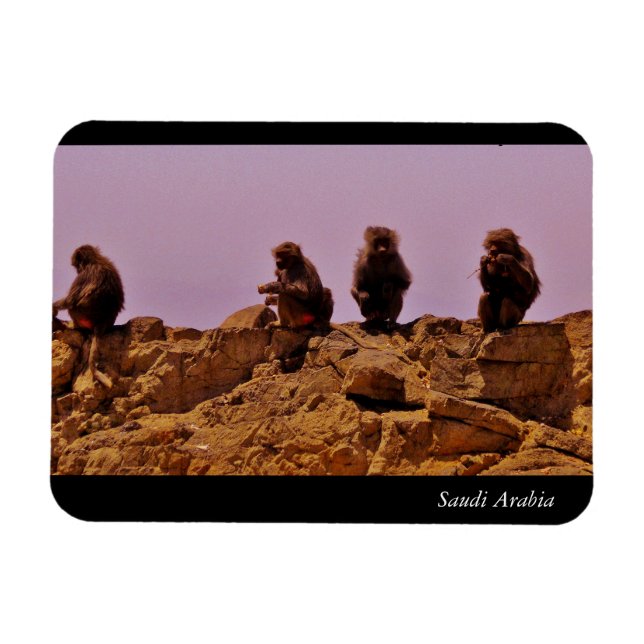 Saudi Arabia Magnet (Horizontal)