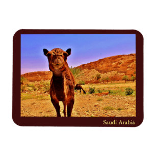 Saudi Arabia Magnet