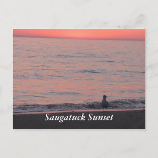 Saugatuck Sunset Postcard