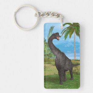 Sauropod Dinosaur in a Tropical Prehistoric Landsc Key Ring