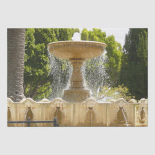 Sausalito Fountain California Travel Photography Tissue Paper