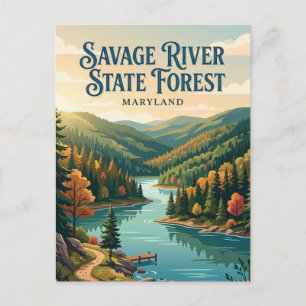 Savage River State Forest Maryland Postcard