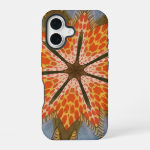 Savanna Star Bloom – A Bold African Animal Print iPhone 16 Case