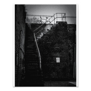 Savannah Bicycle Photo Print