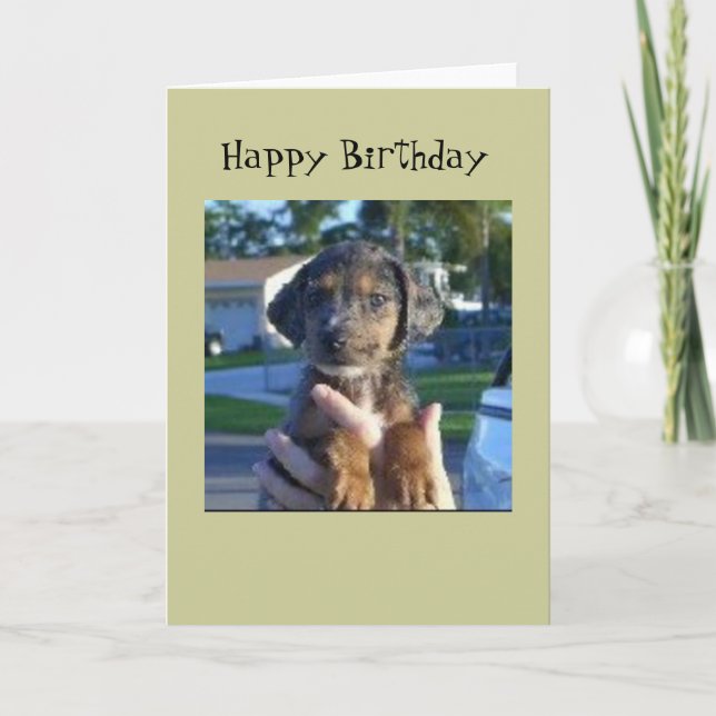 Savannah Card (Front)