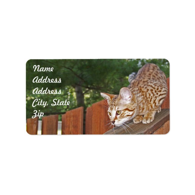 Savannah Cat Address Sticker (Front)