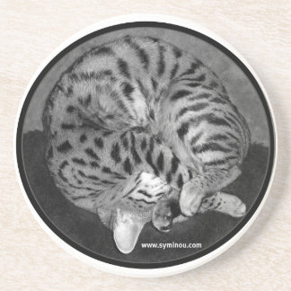 Savannah cat Coaster