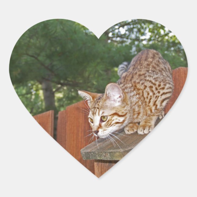 Savannah Cat Heart Sticker (Front)