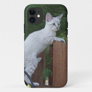 Savannah Cat  iPhone 5 Case-Mate Barely There 11 Case