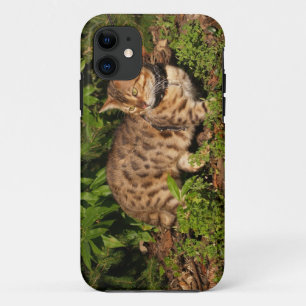 Savannah Cat  iPhone 5 Case-Mate Barely There 11 Case