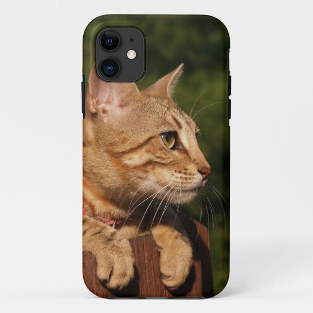 Savannah Cat iPhone 5 Case-Mate iPhone Case (Back)