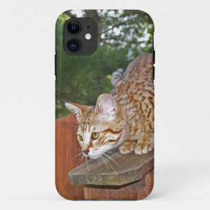 Savannah Cat iPhone 5 Custom Case-Mate ID Case
