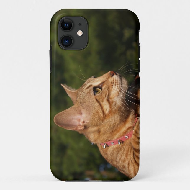 Savannah Cat iPhone 5 Custom Case-Mate ID Case (Back)