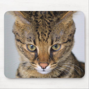 Savannah Cat Mouse Pad