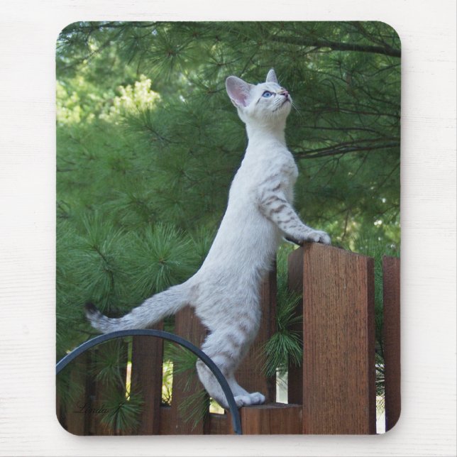Savannah Cat Mousepad (Front)