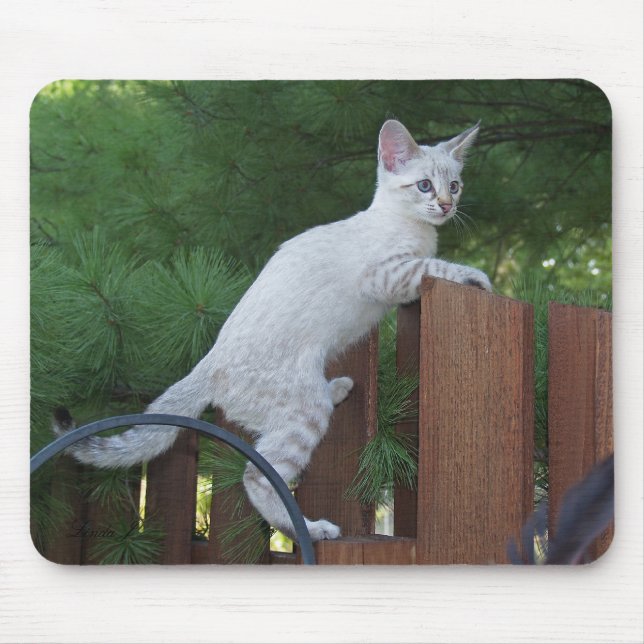 Savannah Cat Mousepad (Front)