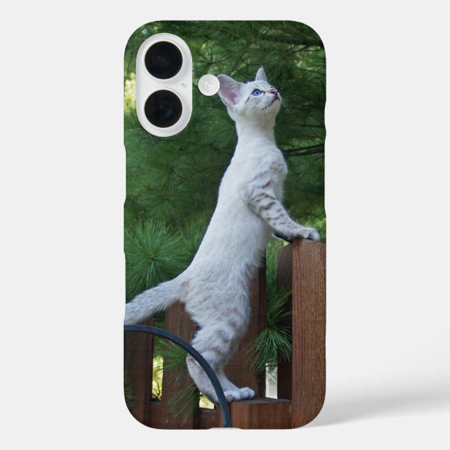 Savannah Cat  Phone Case (Back)