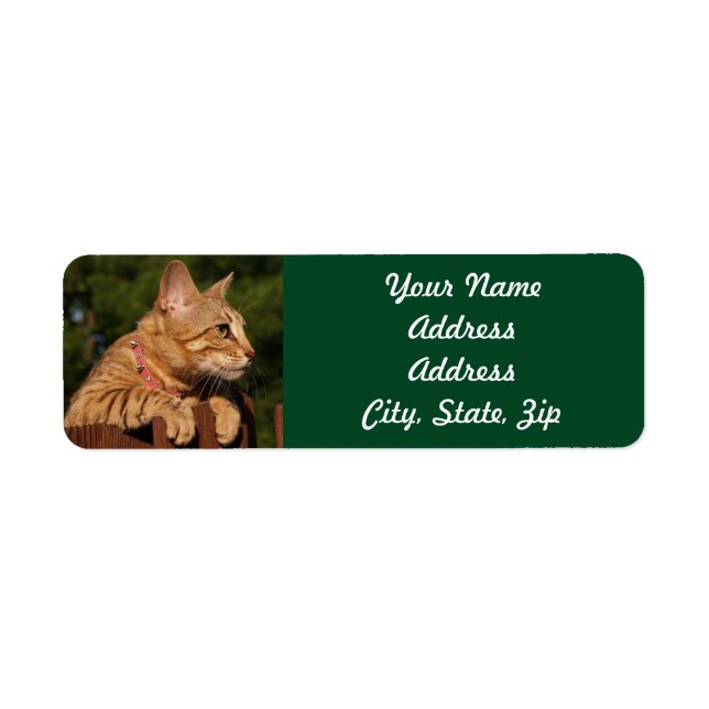 Savannah Cat Return Address Sticker (Front)