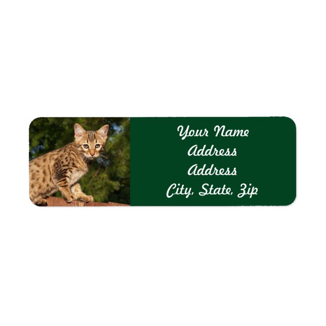 Savannah Cat Return Address Sticker (Front)