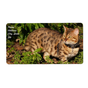 Savannah Cat Shipping Label