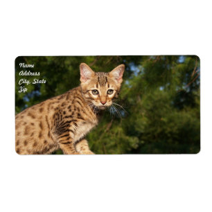 Savannah Cat Shipping Label