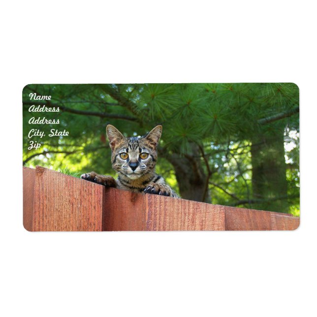 Savannah Cat Shipping Label (Front)
