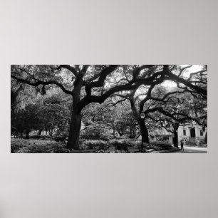 Savannah Ga Park. MD Photography Poster