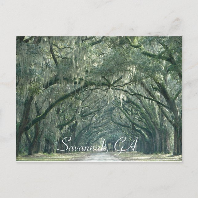 Savannah, GA Postcard (Front)