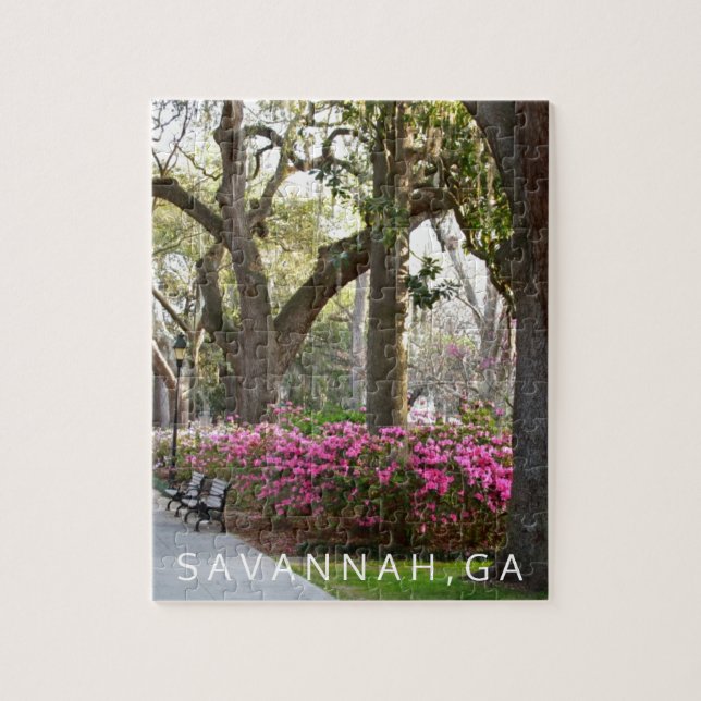 Savannah Georgia | Forsyth Park Spring Azaleas Jigsaw Puzzle (Vertical)