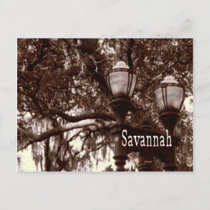 Savannah Georgia Postcard