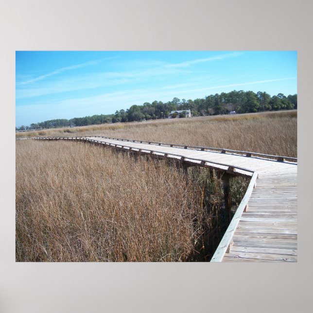 Savannah Georgia Tybee Island Path Trail Poster GA (Front)