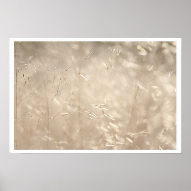 Savannah Golden Grass A3 Poster (Front)