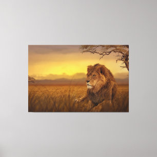 Savannah lion canvas print