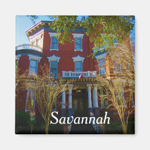Savannah magnet 6