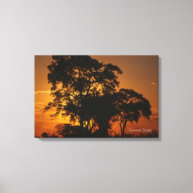 Savannah Sunset Canvas Print (Front)