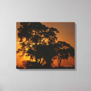Savannah Sunset Canvas Print