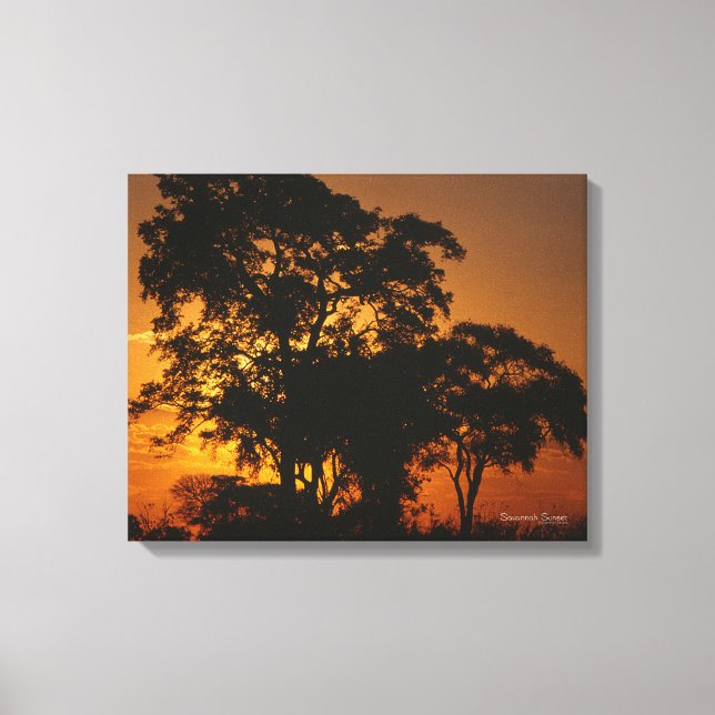 Savannah Sunset Canvas Print (Front)