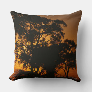 Savannah Sunset Cushion